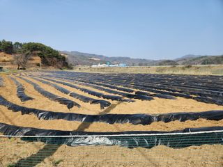 HYUN님의 참깨 · 자유게시판 작성글 사진