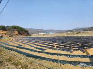 HYUN님의 참깨 · 자유게시판 작성글 사진