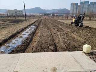 검은시인님의 기타작물 · 자유게시판 작성글 사진