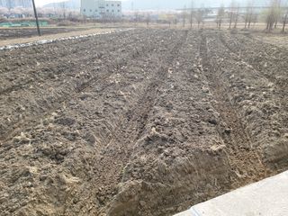 검은시인님의 기타작물 · 자유게시판 작성글 사진