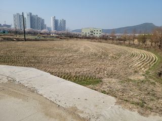 검은시인님의 기타작물 · 자유게시판 작성글 사진