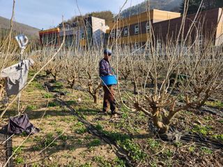최군환님의 기타작물 · 자유게시판 작성글 사진