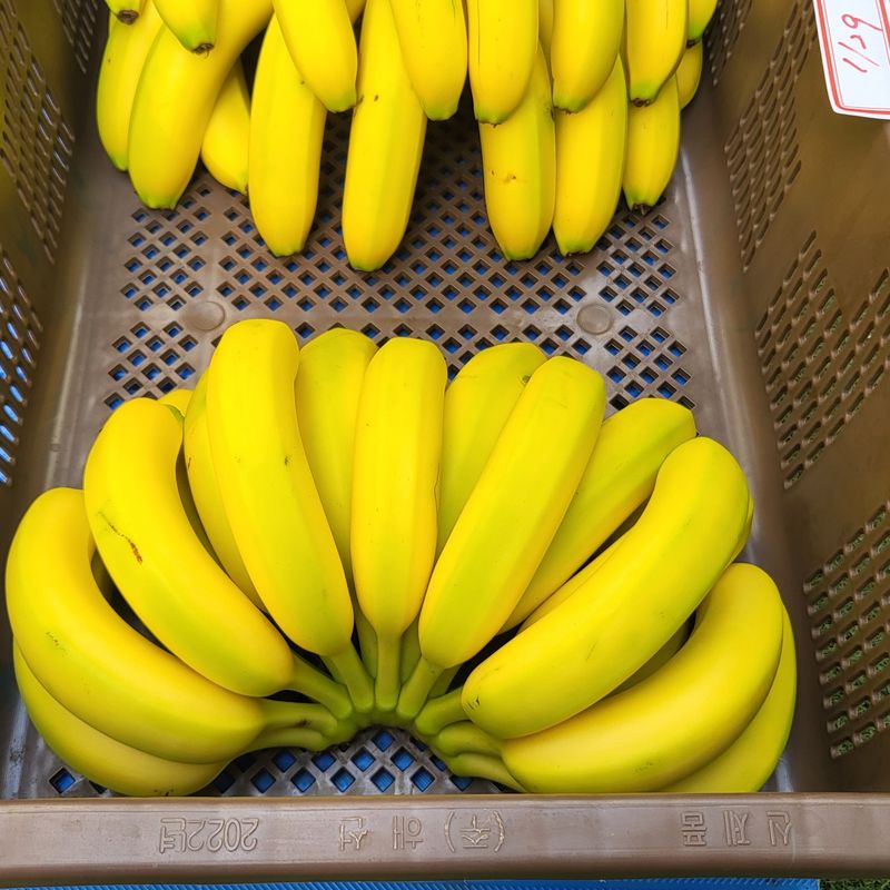 장터 상품 [국내산무농약바나나 3kg] 썸네일