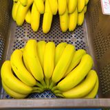 팜모닝 · 게시글 이미지