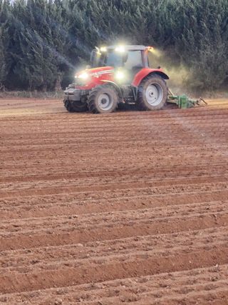 it농부님의 기타작물 · 자유게시판 작성글 사진