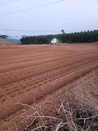 it농부님의 기타작물 · 자유게시판 작성글 사진
