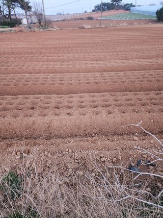 it농부님의 기타작물 · 자유게시판 작성글 사진