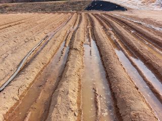 용기님의 감자 · 자유게시판 작성글 사진