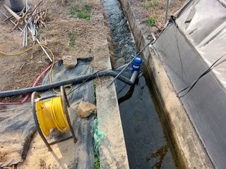 용기님의 감자 · 자유게시판 작성글 사진