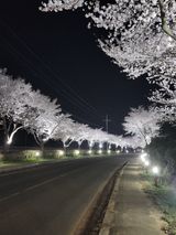 팜모닝 자유주제·자유게시판 게시글 이미지