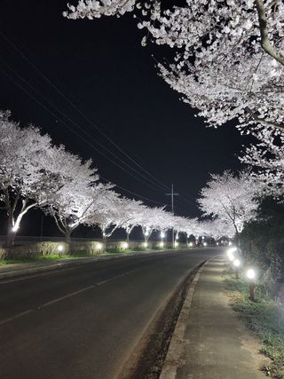 정희원 님의 자유주제 · 자유게시판 작성글 사진
