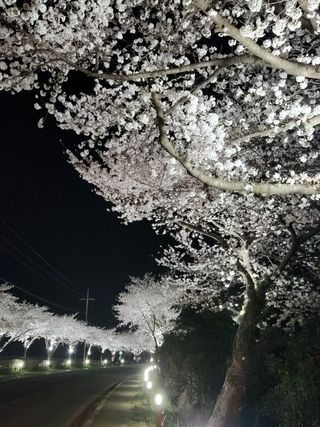 정희원 님의 자유주제 · 자유게시판 작성글 사진