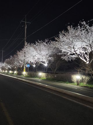 정희원 님의 자유주제 · 자유게시판 작성글 사진