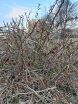 팜모닝 · 게시글 이미지