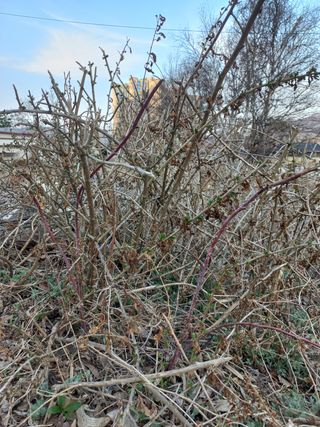 강정순님의 작성글 사진