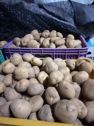 강정순님의 작성글 사진