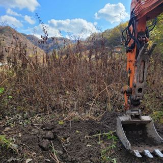 이호성님의 두릅 · 품종•종자 작성글 사진