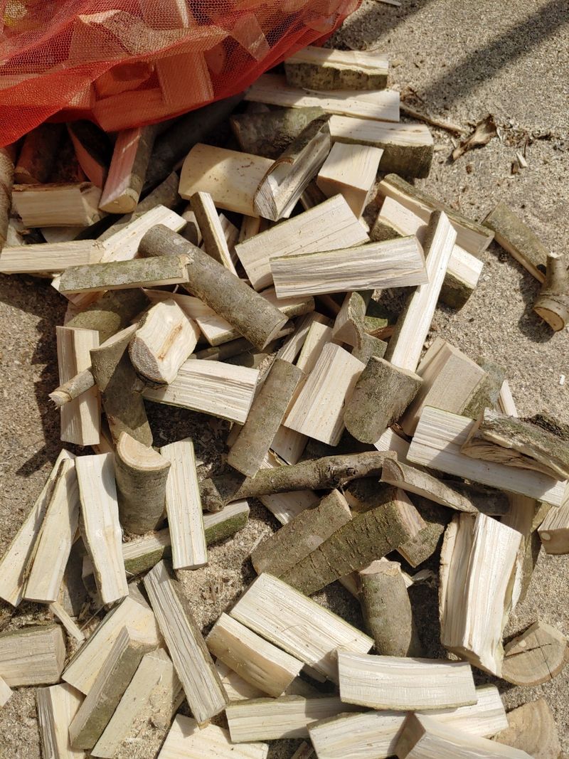 장터 상품 [황칠나무 줄기   5키로] 썸네일