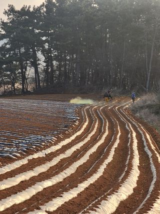 it농부님의 감자 · 자유게시판 작성글 사진