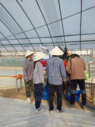 오학봉(멀티팜)님의 벼 · 자유게시판 작성글 사진