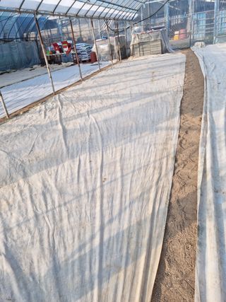 오학봉(멀티팜)님의 벼 · 자유게시판 작성글 사진