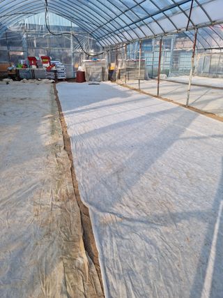 오학봉(멀티팜)님의 벼 · 자유게시판 작성글 사진