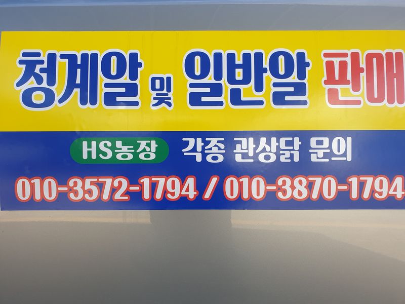 염소농장.강성두님의 장터 판매 상품 [유정란,청계알] 첨부 사진