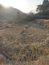 팜모닝 콩·자유게시판 게시글 이미지