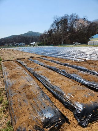 HYUN님의 기타작물 · 자유게시판 작성글 사진