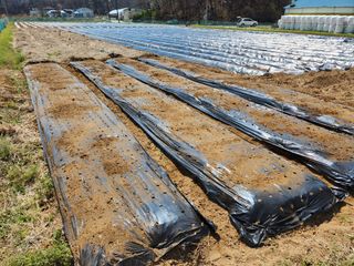 HYUN님의 기타작물 · 자유게시판 작성글 사진