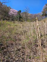 팜모닝 · 게시글 이미지