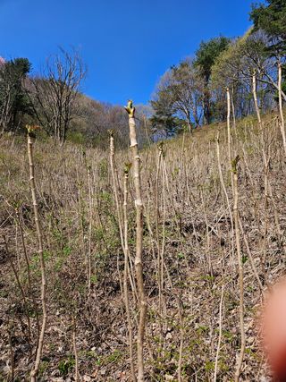 정완희 님의 작성글 사진