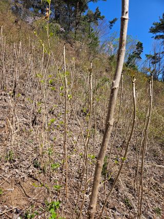 정완희 님의 작성글 사진