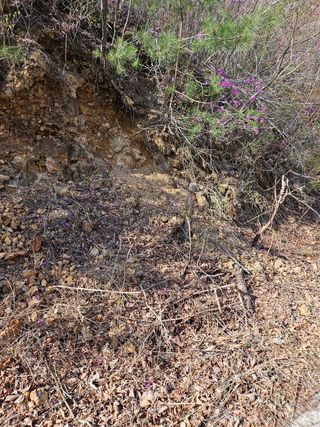 정완희 님의 작성글 사진