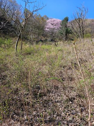 정완희 님의 작성글 사진