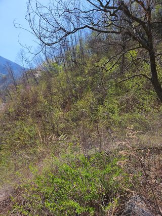 정완희 님의 작성글 사진