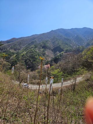 정완희 님의 작성글 사진