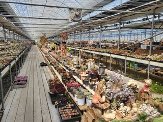 낭만농부님의 작성글 사진