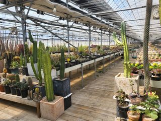 낭만농부님의 작성글 사진