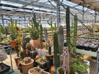 낭만농부님의 작성글 사진