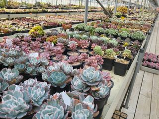 낭만농부님의 작성글 사진