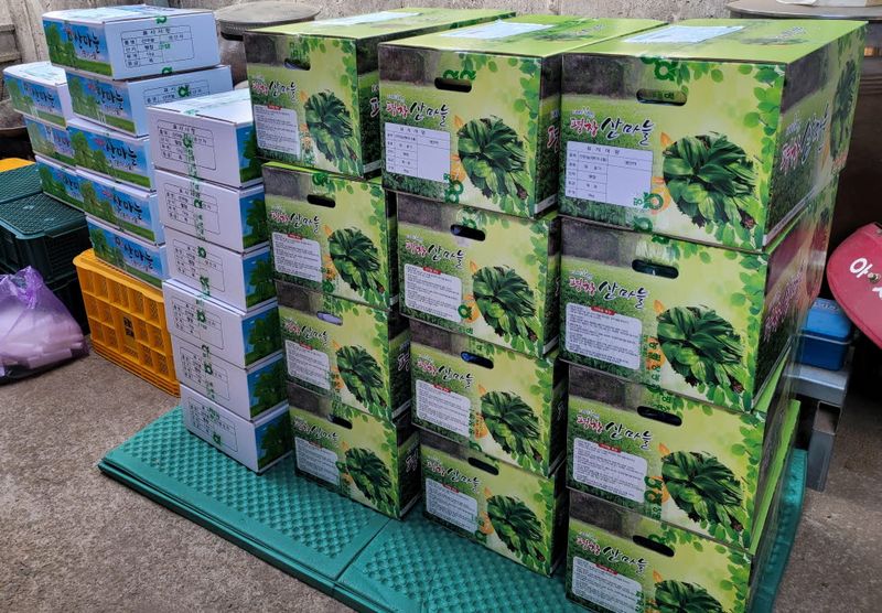 재화농원(이재권)님의 장터 판매 상품 [[판매종료]강원평창 산마늘(잎명이, 울릉도종) 2kg, 4kg] 첨부 사진