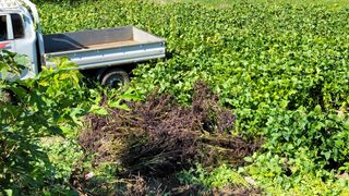 김현덕님의 자유주제 · 자유게시판 작성글 사진