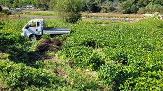 김현덕님의 자유주제 · 자유게시판 작성글 사진
