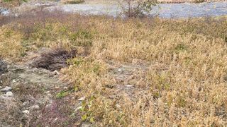 김현덕님의 자유주제 · 자유게시판 작성글 사진