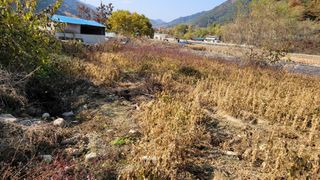 김현덕님의 자유주제 · 자유게시판 작성글 사진