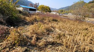 김현덕님의 자유주제 · 자유게시판 작성글 사진