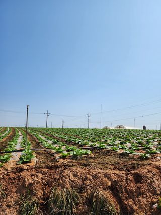 박효식님의 자유주제 · 자유게시판 작성글 사진