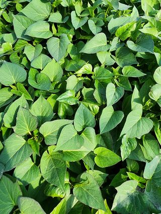 박효식님의 자유주제 · 자유게시판 작성글 사진