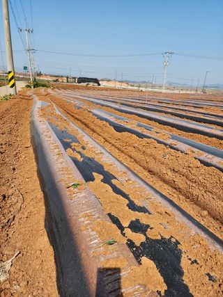 박효식님의 자유주제 · 자유게시판 작성글 사진